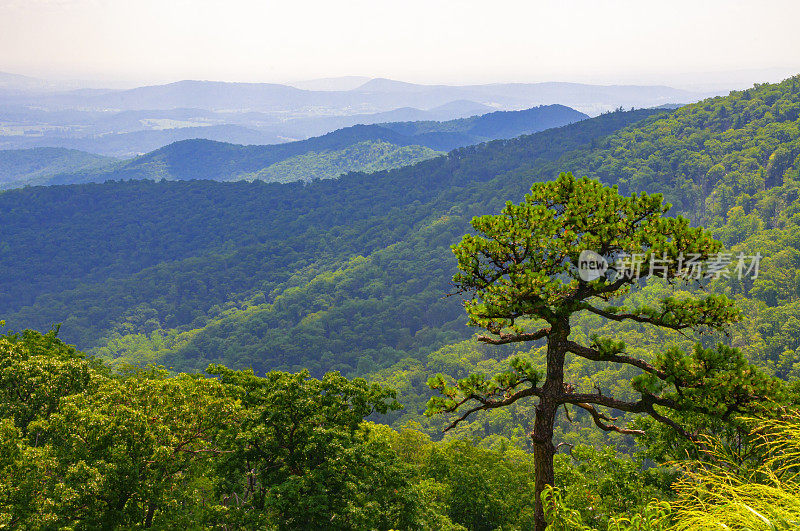 俯瞰Shenandoah Skyline Drive